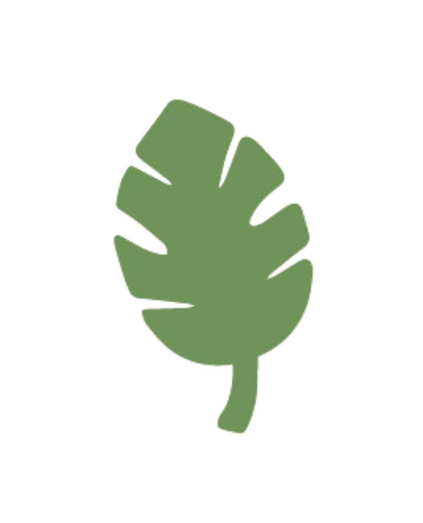 Veritas Villages green leaf logo