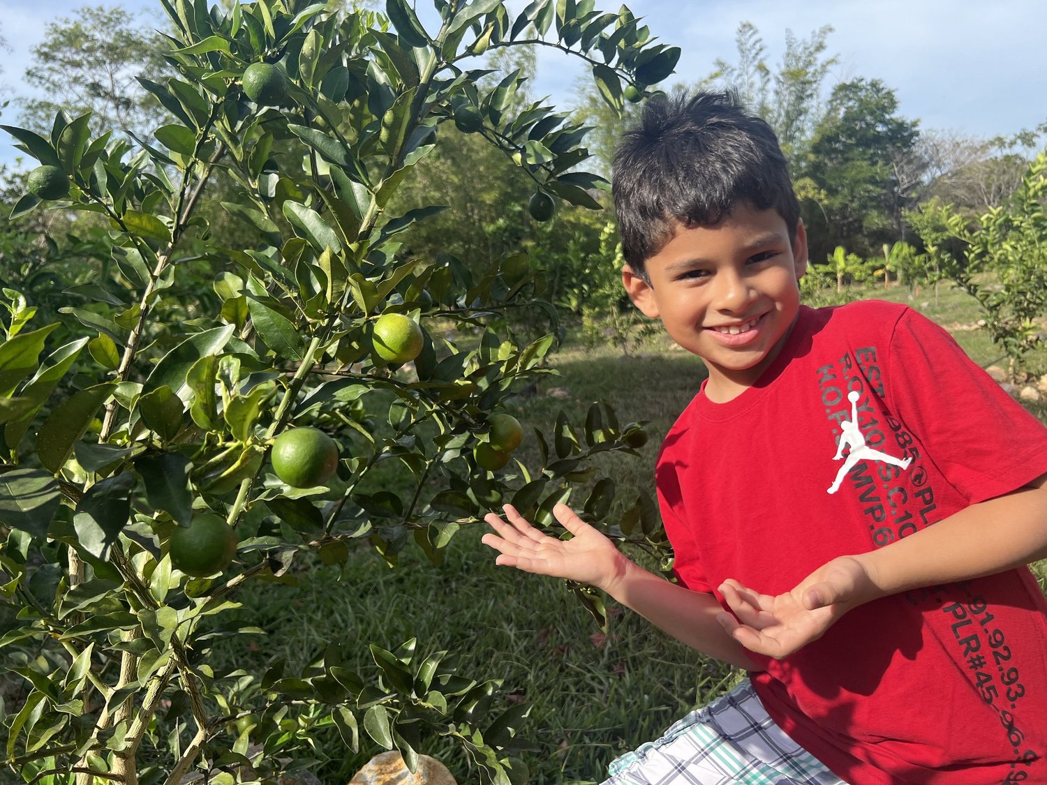 Child holding a branch heavy with oranges at Veritas Village