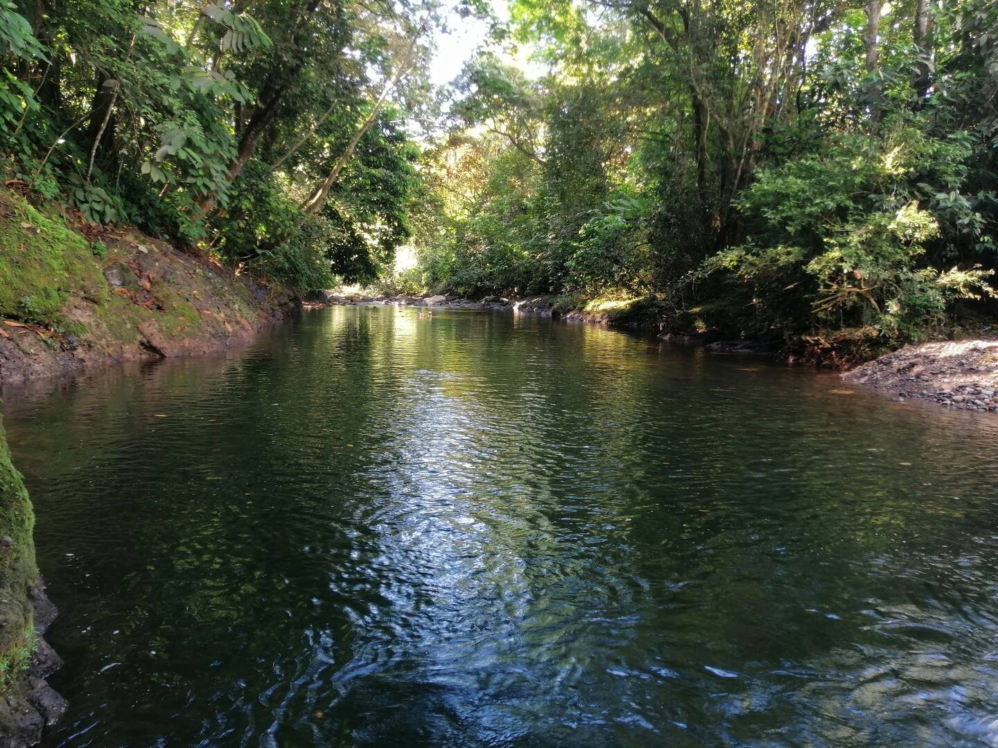 Shaded river with forested banks at Veritas Village Chiriquí
