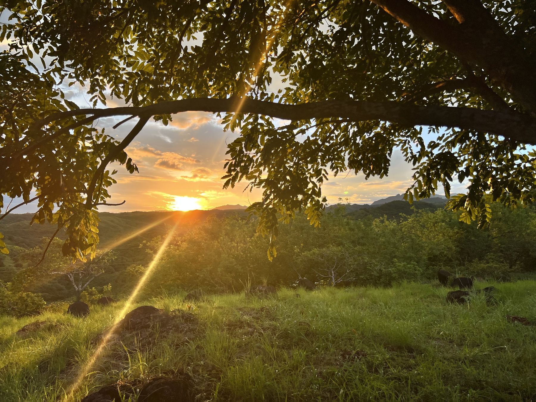 Sunset at a Veritas Village community