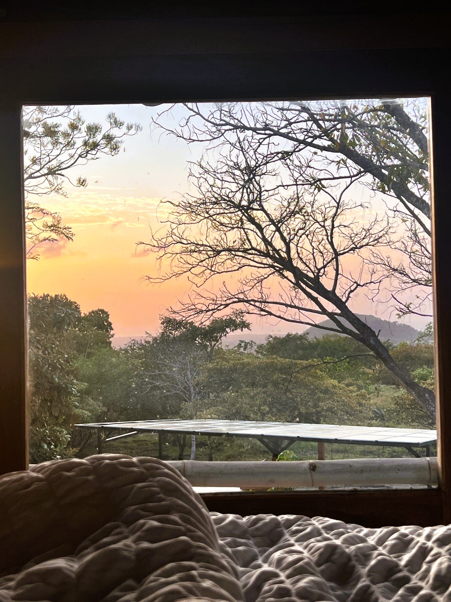 sunrise at Veritas